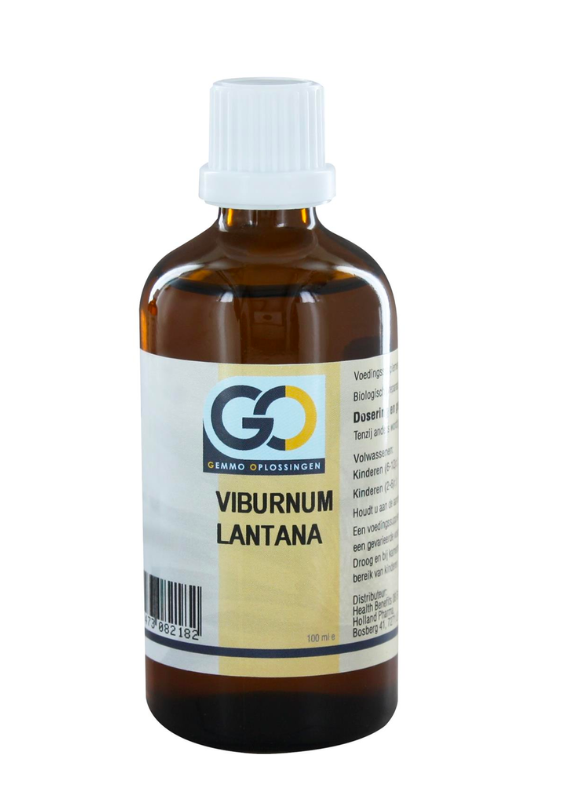 GO Viburnum Lantana