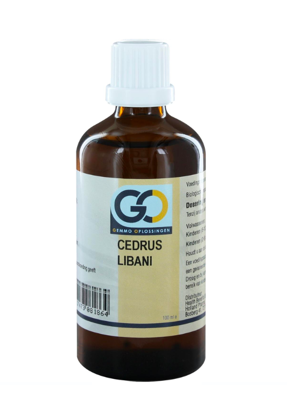 GO Cedrus Libani