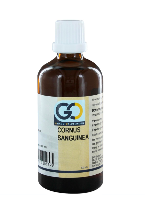 GO Cornus Sanguinea