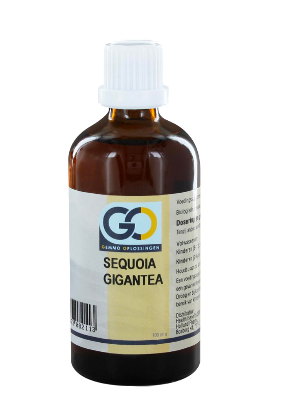 GO Sequoia Gigantea