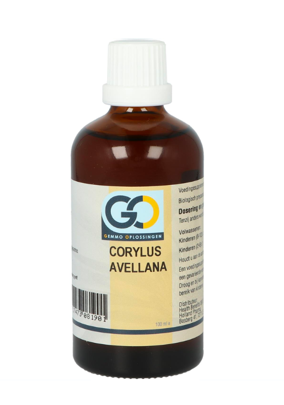 GO Corylus Avellana