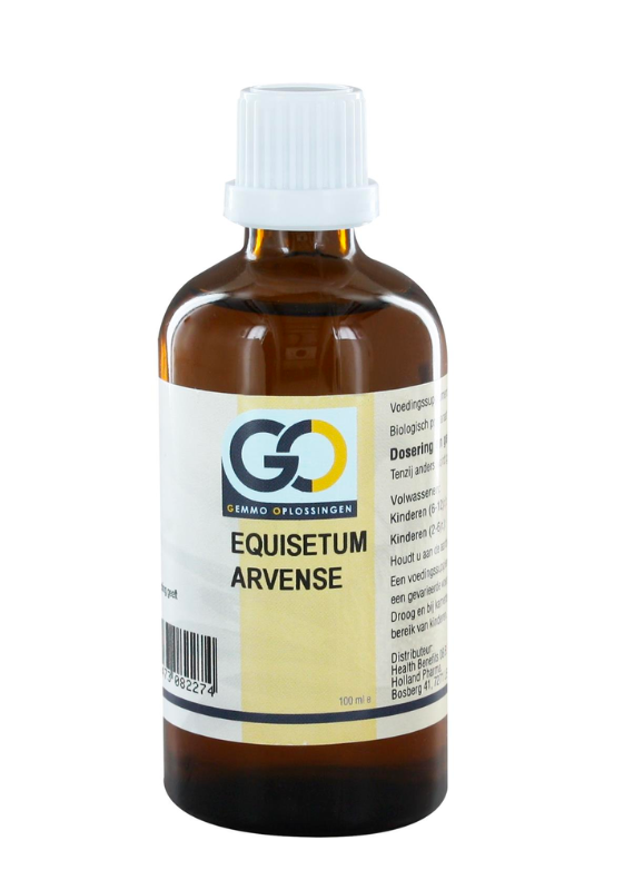 GO Equisetum Arvense