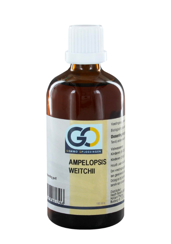 GO Ampelopsis Weitchii