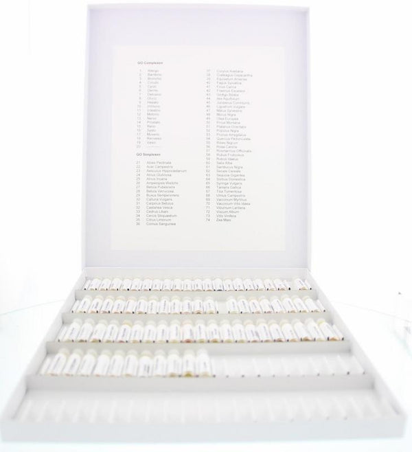 Testdoos GO Complexen en simplexen